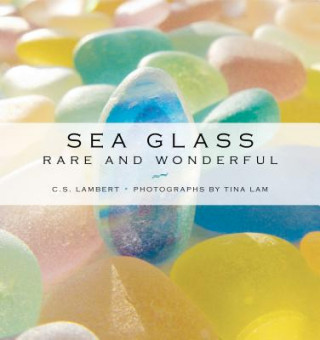 Knjiga Sea Glass C. S. Lambert
