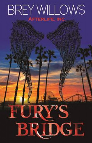 Könyv Fury's Bridge Brey Willows