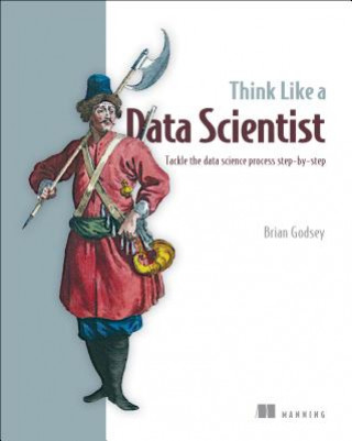 Kniha Think Like a Data Scientist Brian Godsey