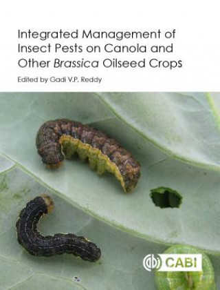 Kniha Integrated management of Insect Pests on Canola and other Brassica Oilseed Crops Gadi V. P. Reddy