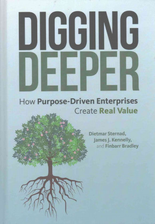Buch Digging Deeper Dietmar Sternad