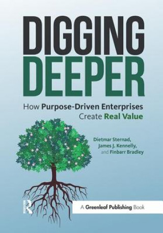 Buch Digging Deeper Dietmar Sternad