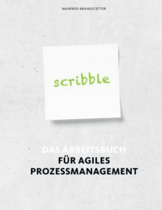 Boek Scribble Manfred Brandstätter