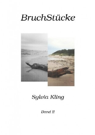 Könyv BruchStücke Sylvia Kling
