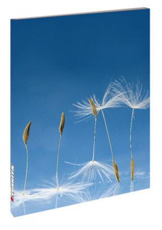 Livre Dandelion -  Blankbook 