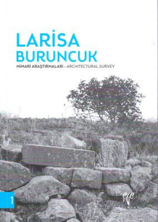 Kniha Larisa Buruncuk: Mimari Arastirmalari - Architectural Survey Turgut Saner