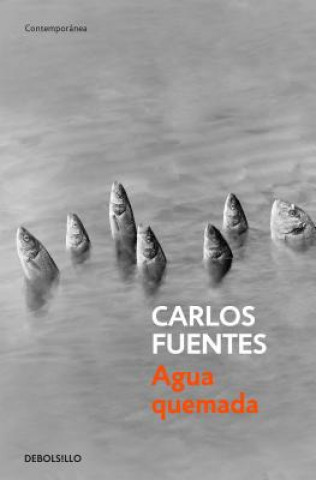 Carte Agua Quemada / Burn Water Carlos Castellanos Fuentes
