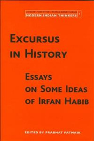 Kniha Excursus in History - Essays on Some Ideas of Irfan Habib Prabhat Patnaik