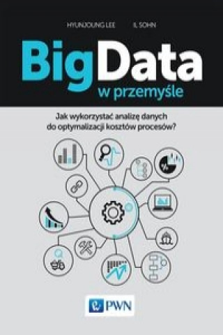 Kniha Big Data w przemysle Lee Hyunjoung