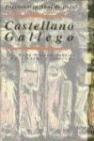Kniha Diccionario de usos castellano-gallego José María Freixedo Tabaré