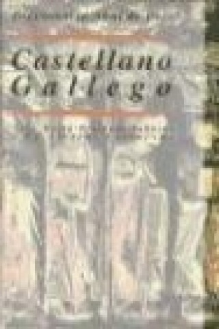 Buch Diccionario de usos castellano-gallego José María Freixedo Tabaré