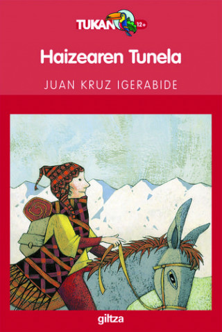 Könyv Haizearen tunela Juan Kruz Igerabide