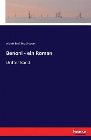 Book Benoni - ein Roman Albert Emil Brachvogel