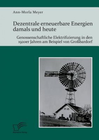 Könyv Dezentrale erneuerbare Energien damals und heute. Genossenschaftliche Elektrifizierung in den 1920er Jahren am Beispiel von Grossbardorf Ann-Morla Meyer