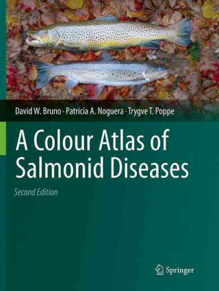 Książka Colour Atlas of Salmonid Diseases David W. Bruno