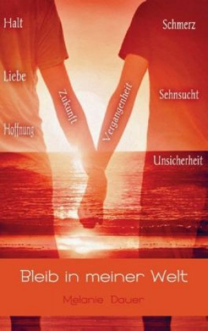 Buch Bleib in meiner Welt Melanie Dauer