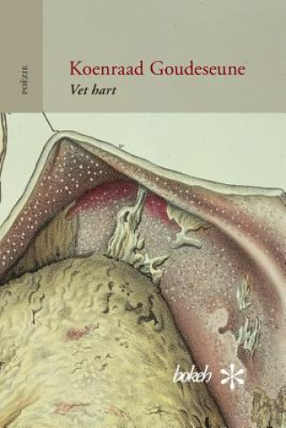 Buch Vet hart Koenraad Goudeseune