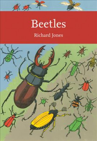 Książka Beetles Richard Jones