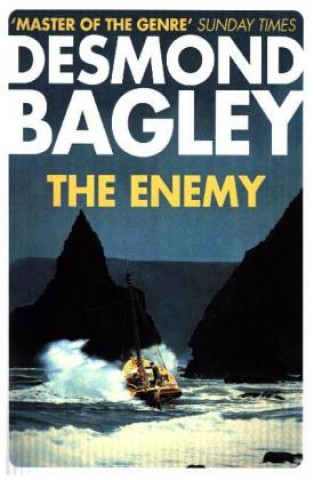 Knjiga Enemy Desmond Bagley