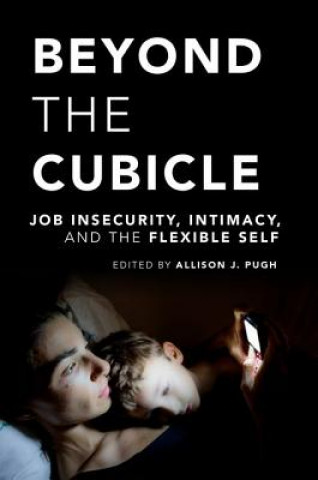 Könyv Beyond the Cubicle Allison J. Pugh