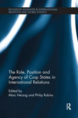 Книга Role, Position and Agency of Cusp States in International Relations 