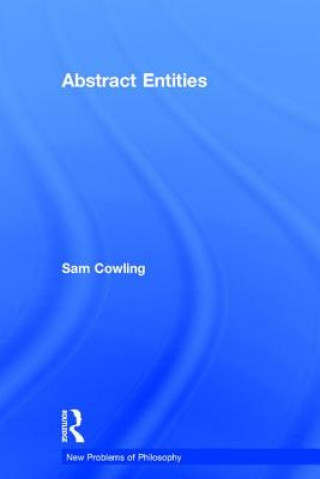 Kniha Abstract Entities Sam Cowling