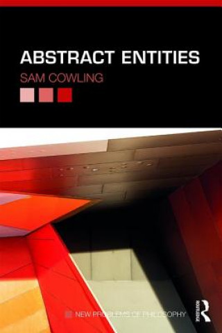 Kniha Abstract Entities Sam Cowling