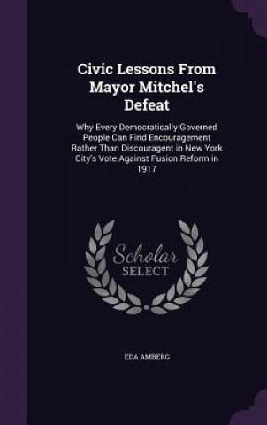 Buch CIVIC LESSONS FROM MAYOR MITCHEL'S DEFEA EDA AMBERG