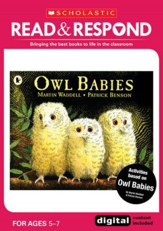 Kniha Owl Babies Jean Evans