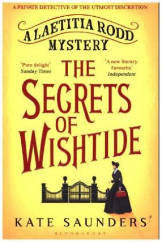 Kniha Secrets of Wishtide Kate Saunders