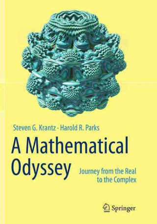 Kniha Mathematical Odyssey Steven G. Krantz