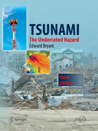 Kniha Tsunami Edward Bryant