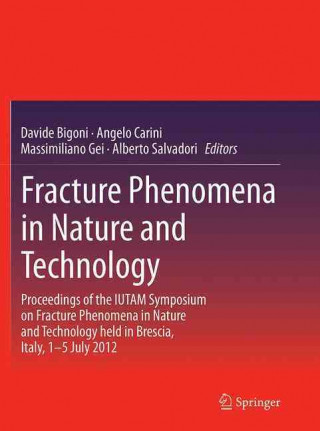 Kniha Fracture Phenomena in Nature and Technology Davide Bigoni