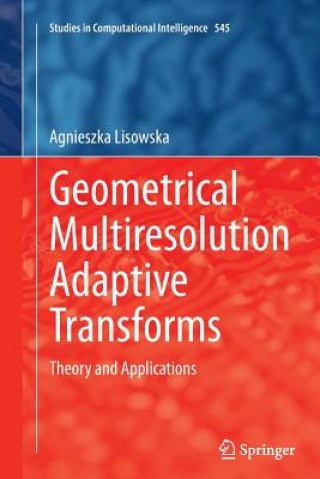 Carte Geometrical Multiresolution Adaptive Transforms Agnieszka Lisowska
