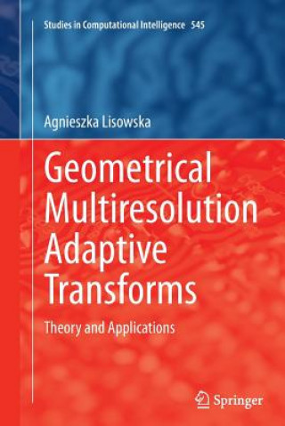 Kniha Geometrical Multiresolution Adaptive Transforms Agnieszka Lisowska