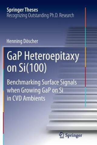 Könyv GaP Heteroepitaxy on Si(100) Henning Doscher
