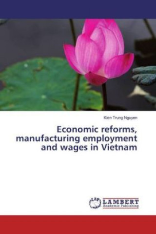 Carte Economic reforms, manufacturing employment and wages in Vietnam Kien Trung Nguyen