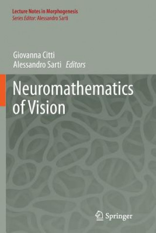 Kniha Neuromathematics of Vision Giovanna Citti