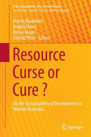 Kniha Resource Curse or Cure ? Martin Brueckner