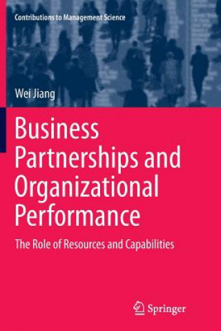 Kniha Business Partnerships and Organizational Performance Wei Jiang