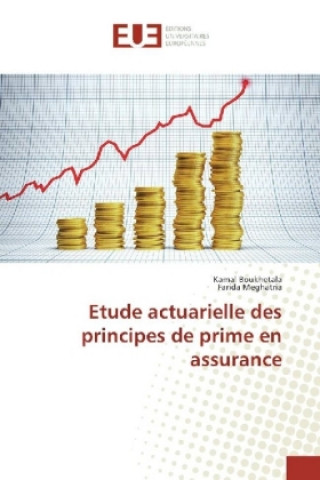 Kniha Etude actuarielle des principes de prime en assurance Kamal Boukhetala