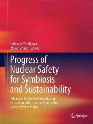 Kniha Progress of Nuclear Safety for Symbiosis and Sustainability Hidekazu Yoshikawa