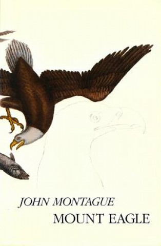 Livre Mount Eagle John Montague