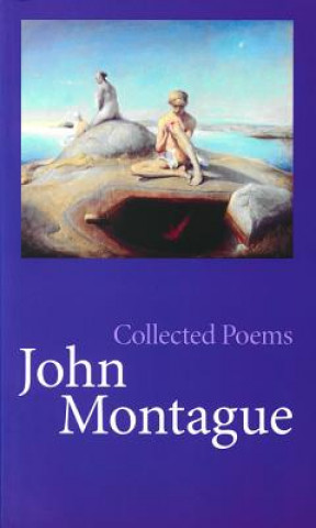 Kniha Collected Poems - John Montague John Montague