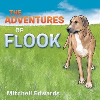 Carte Adventures of Flook Mitchell Edwards