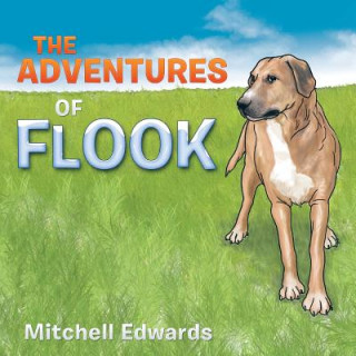 Książka Adventures of Flook Mitchell Edwards