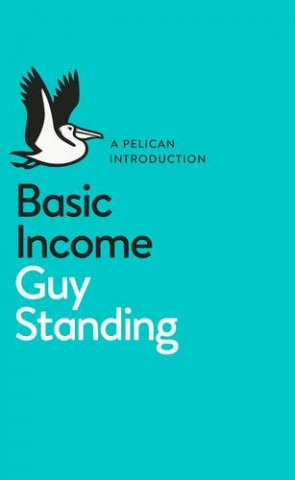 Kniha Basic Income GUY STANDING