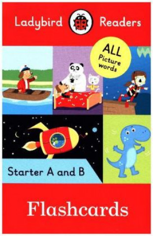 Tiskovina Ladybird Readers Starter Level Flashcards 