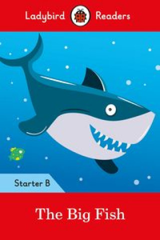 Livre Big Fish: Ladybird Readers Starter Level B 