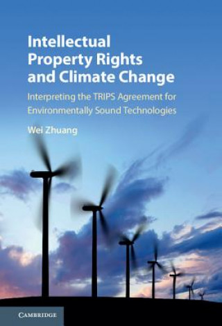 Kniha Intellectual Property Rights and Climate Change Wei Zhuang